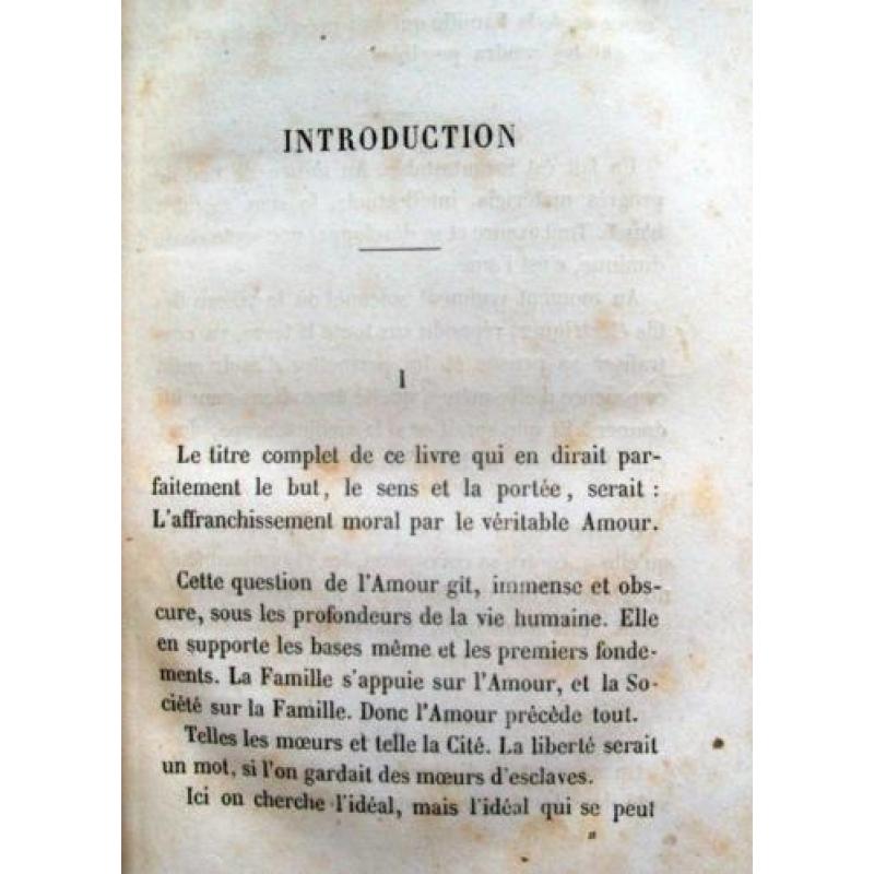 J. Michelet - L' Amour (Franstalig)
