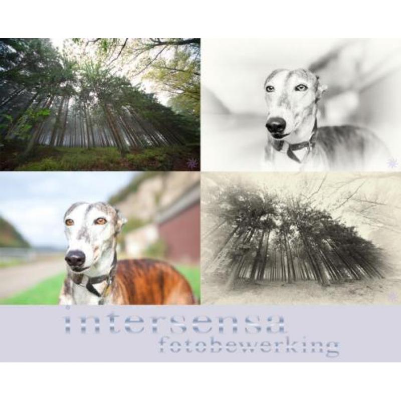 Laat een eigen foto bewerken tot een mooi resusltaat!