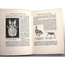 Mensch en Insect (circa 1930) Hun Onderlinge Strijd - Howard
