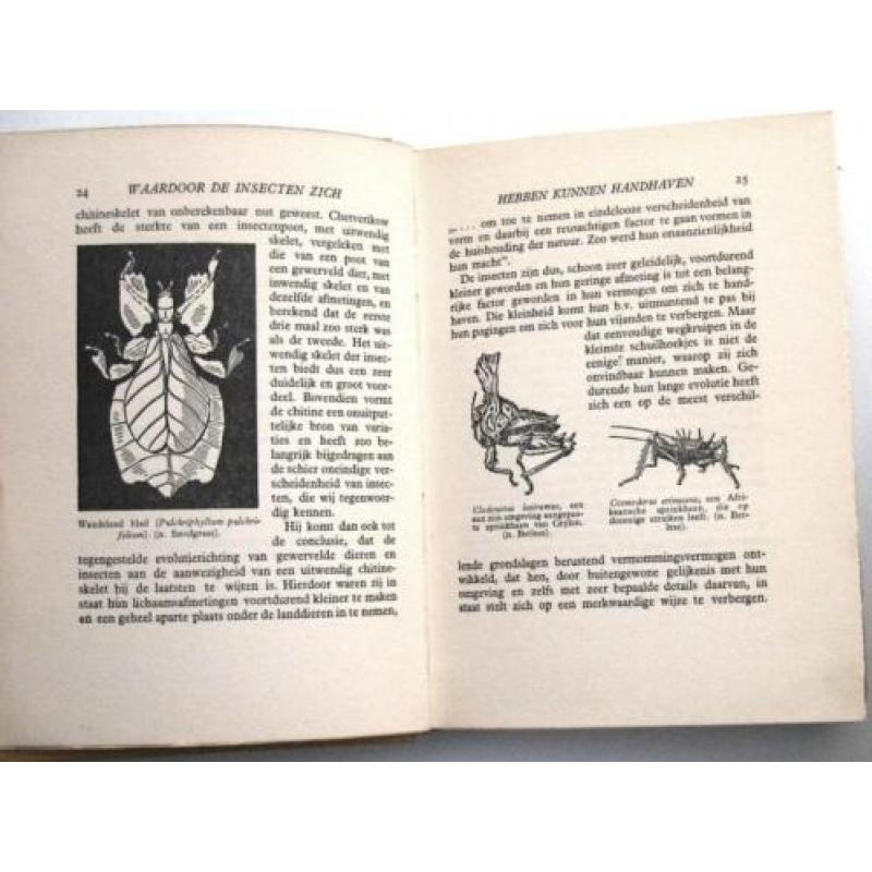 Mensch en Insect (circa 1930) Hun Onderlinge Strijd - Howard