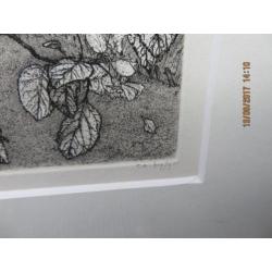 Landschap - Reinder Homan