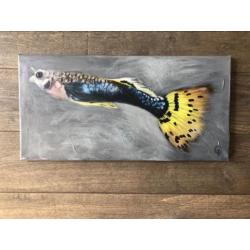 Gub 60 x 30