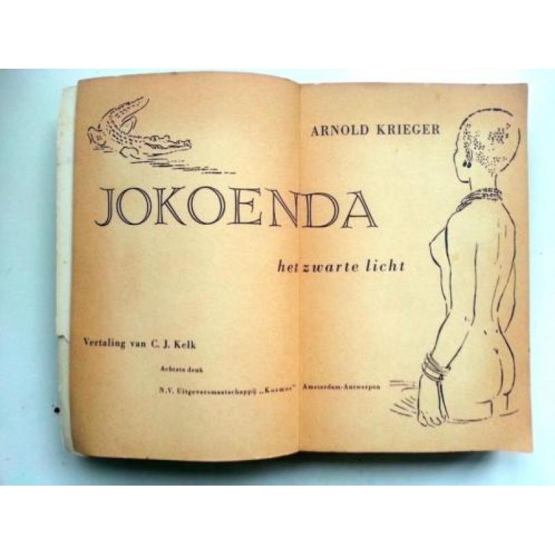 Arnold Krieger - Jokoenda het zwarte licht