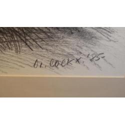 "tuinman" Marcel Cockx, houtskooltekening