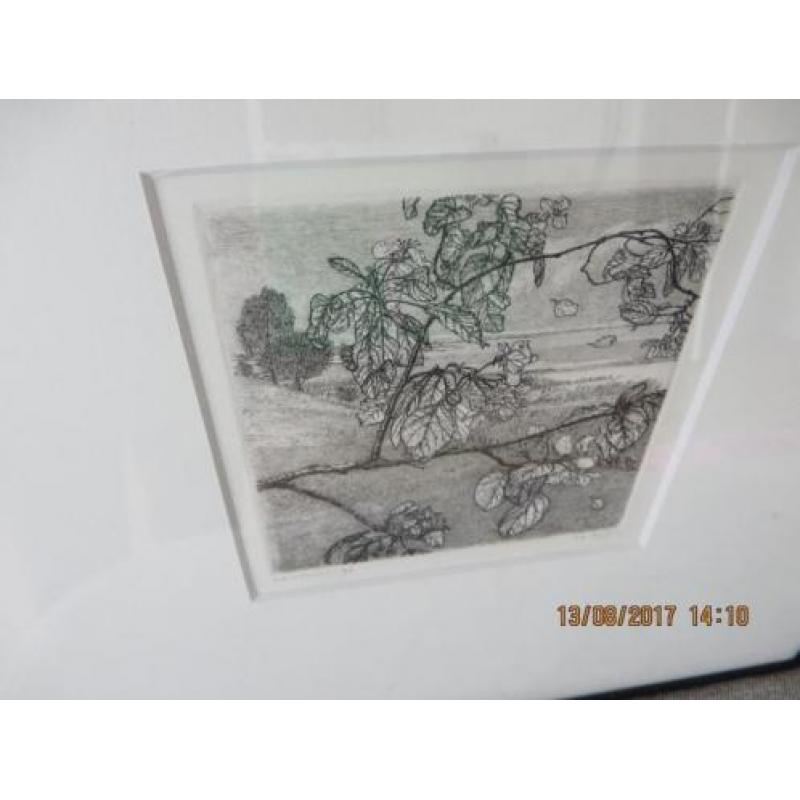 Landschap - Reinder Homan