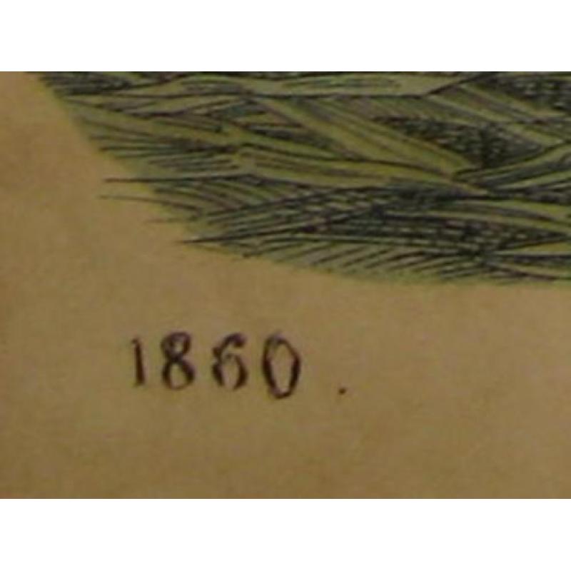 ets, gravure, lithografie, tijgerjacht, Indië 1860