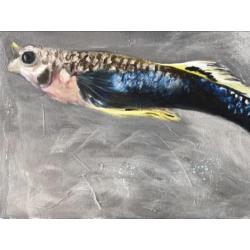 Gub 60 x 30