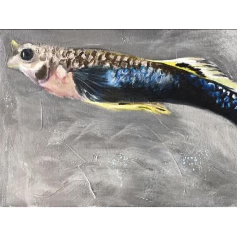 Gub 60 x 30