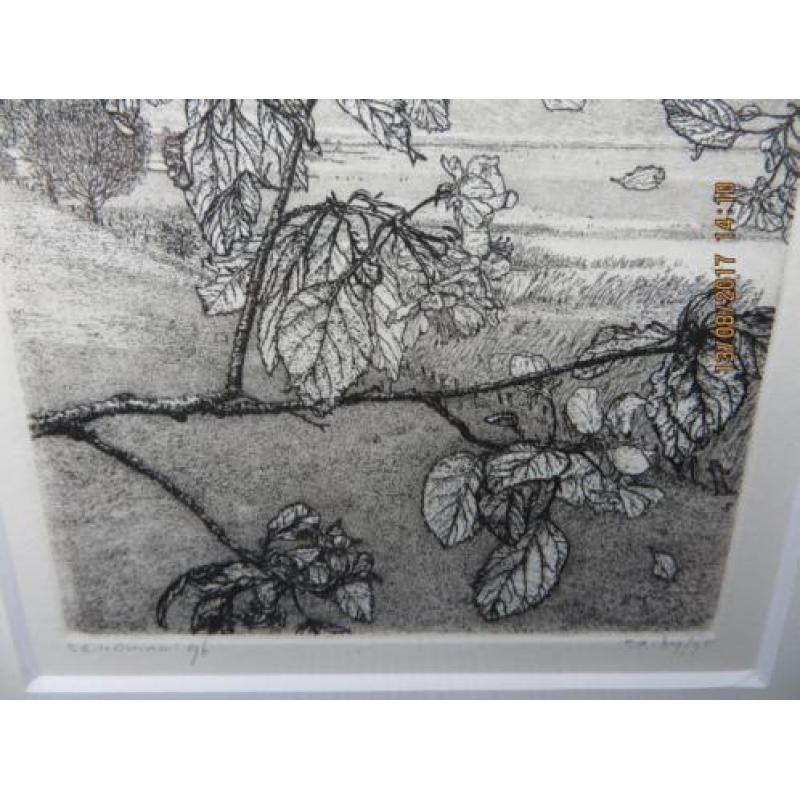 Landschap - Reinder Homan
