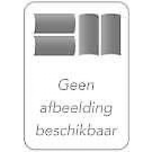Young Blackbirds 8 Engelse Lijsters 9789001558727