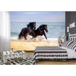 Paarden fotobehang Shire, Paarden vliesbehang strand