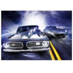 aanbieding Fotobehang 400x280cm Race voor €40