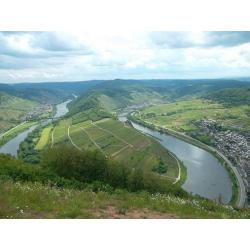 Wandelen in de Eifel & Moezel - 2 Vakantiewoningen