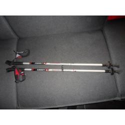 Nordic walking stokken