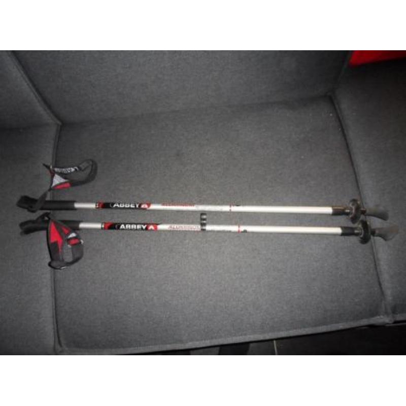 Nordic walking stokken