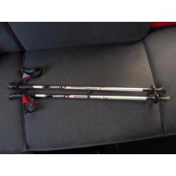 Nordic walking stokken