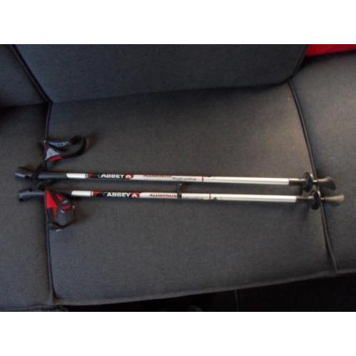 Nordic walking stokken