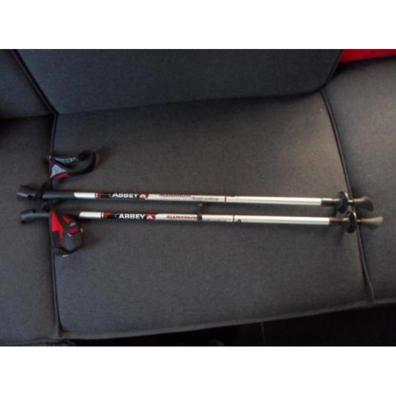 Nordic walking stokken