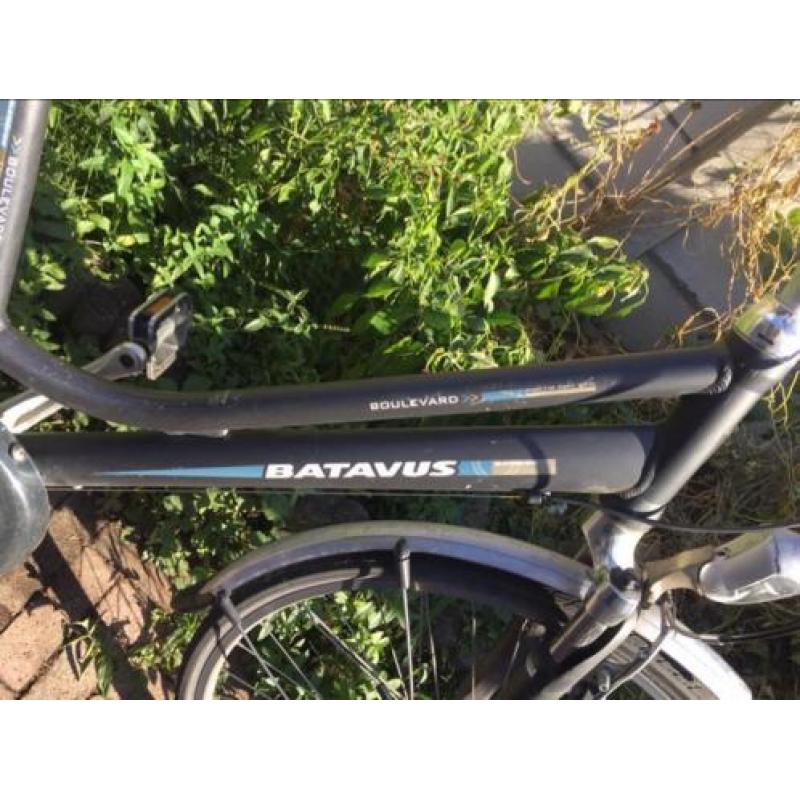 Batavus boulevard