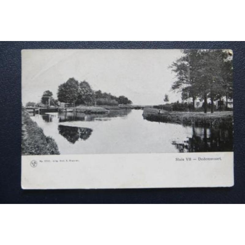 4 Ansichtkaarten Dedemsvaart sluis VII, Villa Dina, schapen