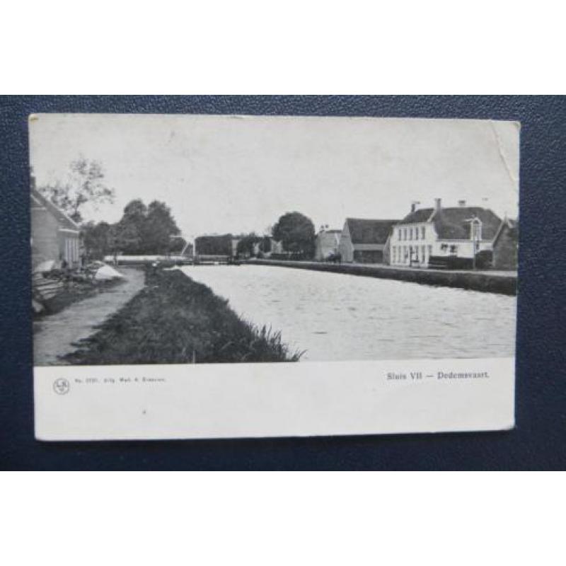 4 Ansichtkaarten Dedemsvaart sluis VII, Villa Dina, schapen