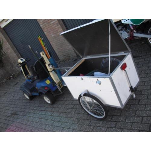 golfkar met viskar